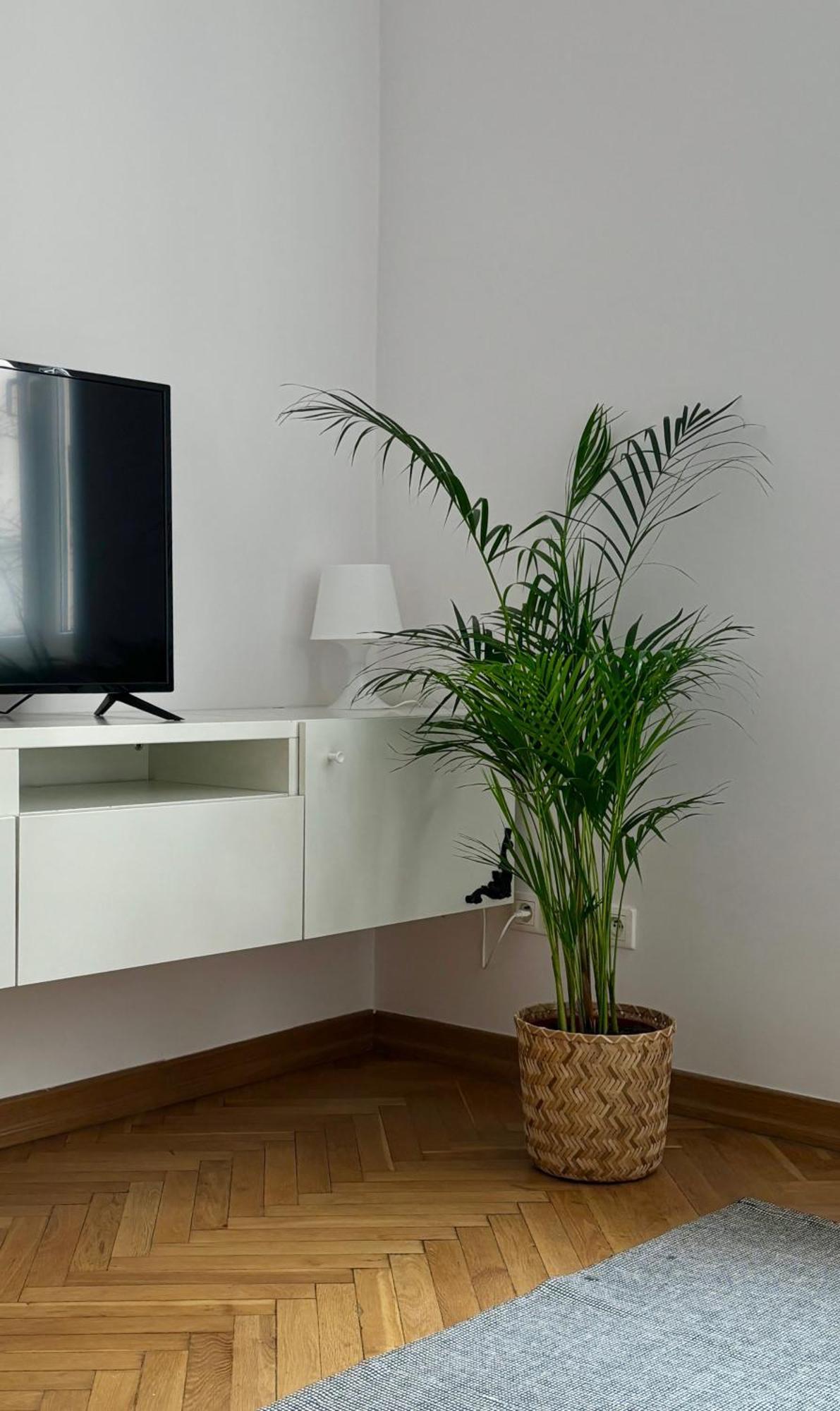 Apartment K3